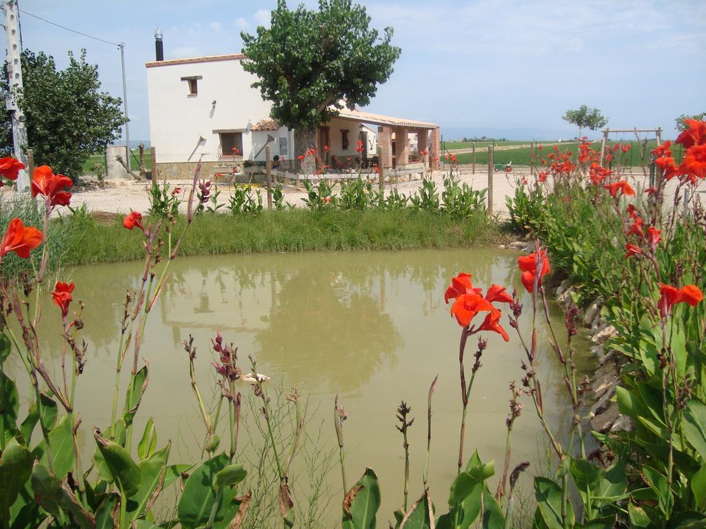 Caseta Les Creus Riumar Exterior foto